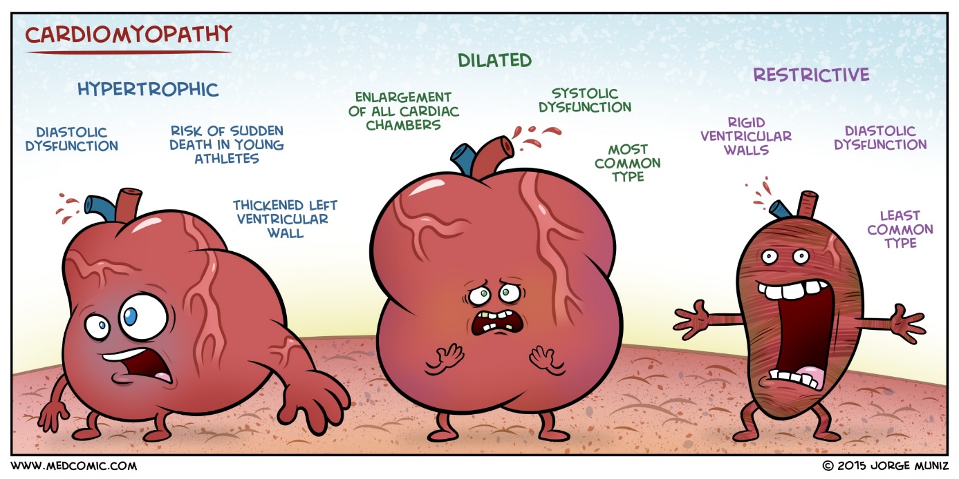 8-cardiomyopathies-greek-doctor