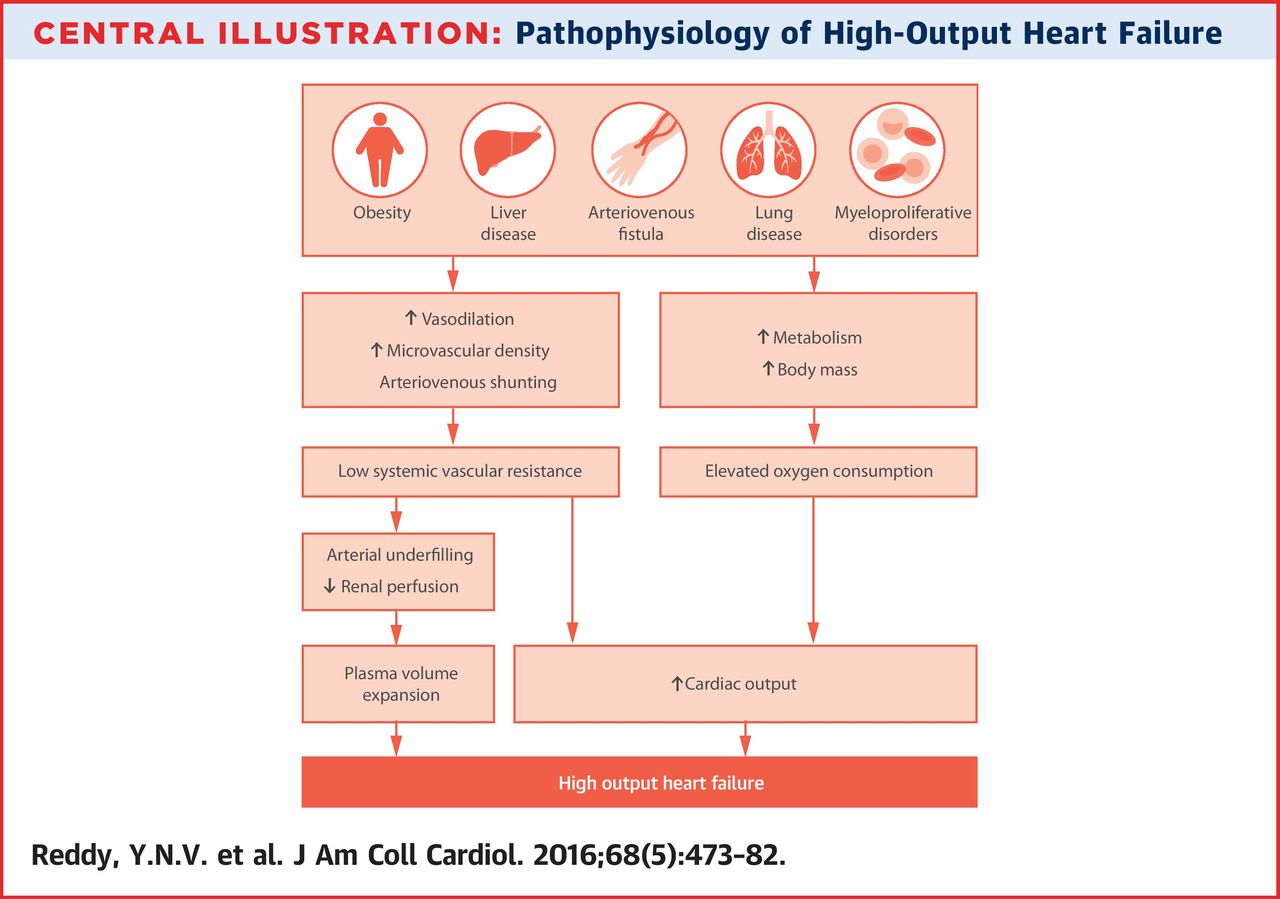 http://www.onlinejacc.org/content/accj/68/5/473/F4.large.jpg?width=800&height=600&carousel=1