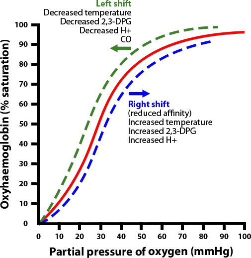 Oxygen dissociation – left and right shift