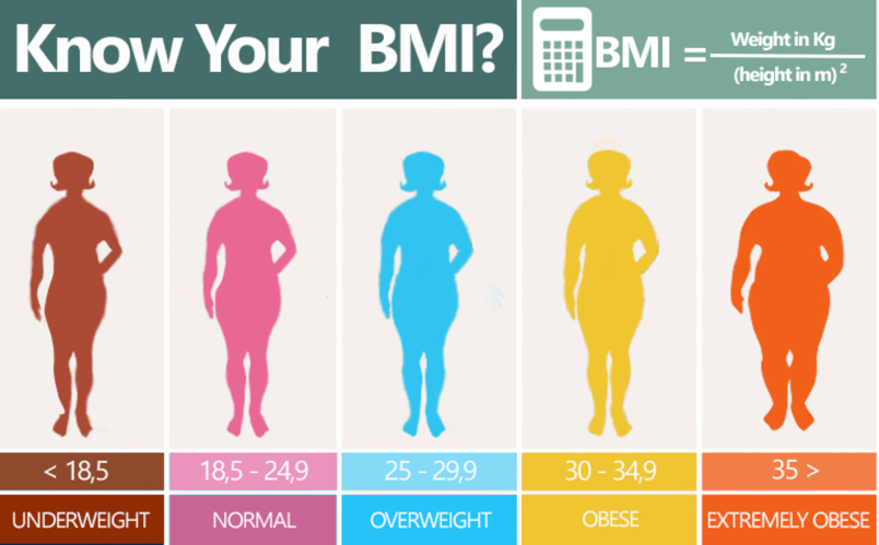 Frau 5 bmi 24 Why BMI