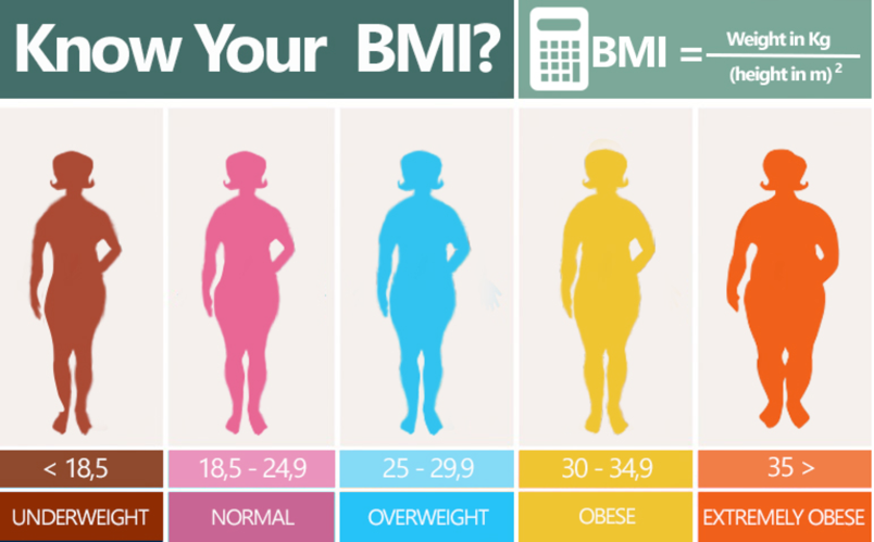 17-pathology-of-obesity-and-diabetes-greek-doctor