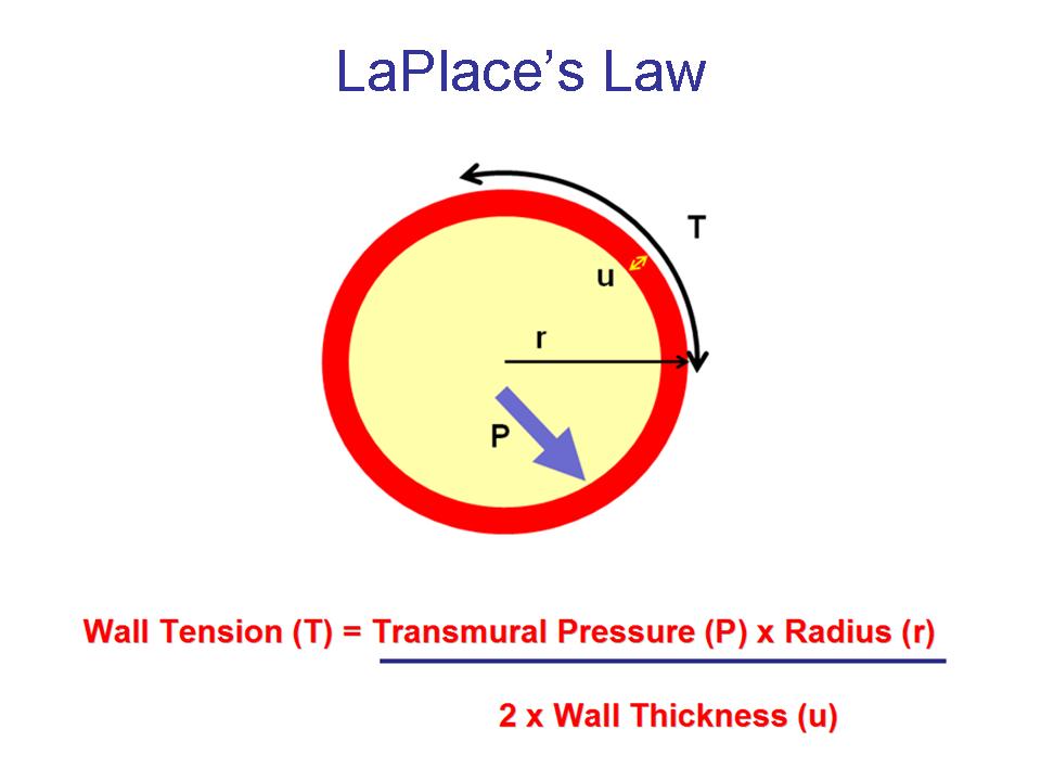 Bilderesultat for laplace law