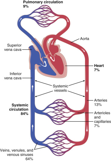 33. Arterial blood pressure. Determinants of normal arterial blood