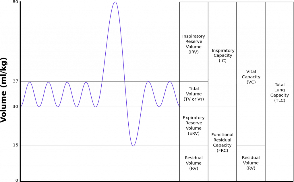 How To Calculate Tidal Volume From A Graph