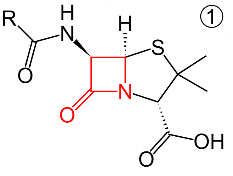 Penicillins Cefalosporins Greek Doctor