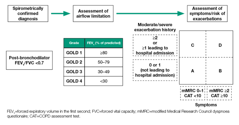 99. Chronic Obstructive Pulmonary Disease (COPD). Diagnostics, Types ...