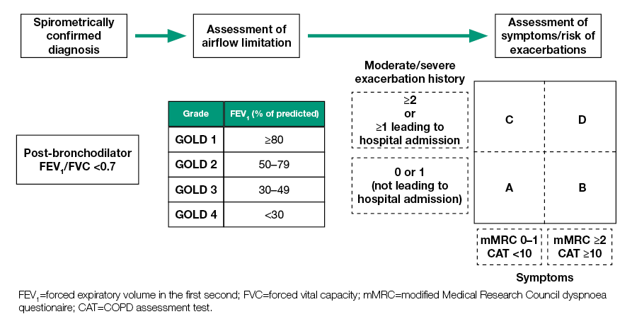 GOLD COPD 2021 strategy | Independent professional body guideline |  Guidelines